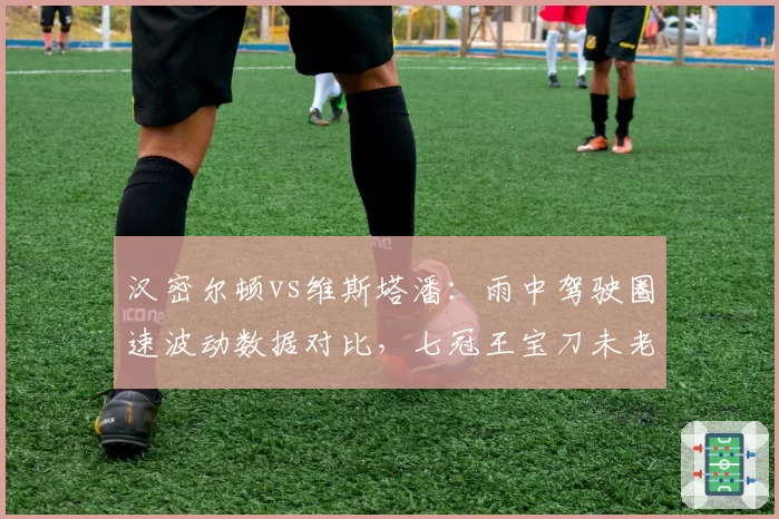 汉密尔顿vs维斯塔潘：雨中驾驶圈速波动数据对比，七冠王宝刀未老