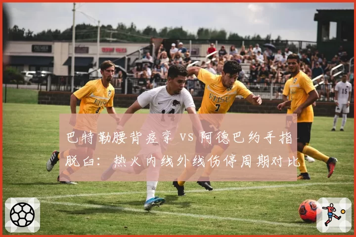 巴特勒腰背痉挛 vs 阿德巴约手指脱臼：热火内线外线伤停周期对比