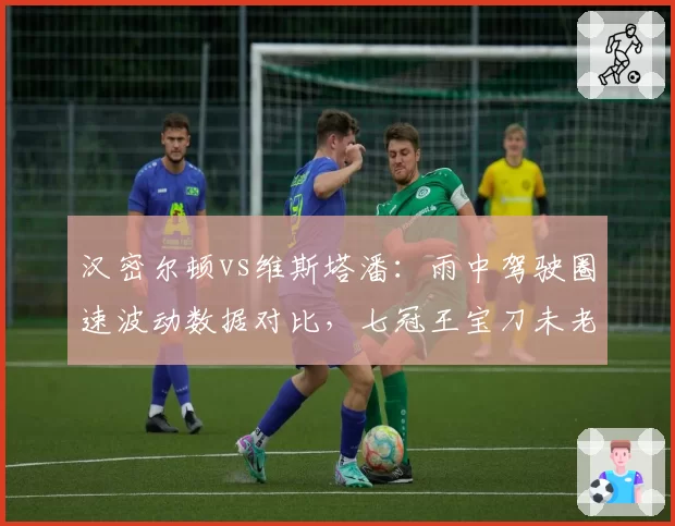 汉密尔顿vs维斯塔潘：雨中驾驶圈速波动数据对比，七冠王宝刀未老