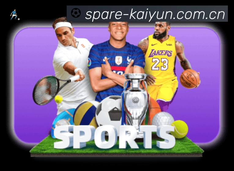 结构优化认证展示